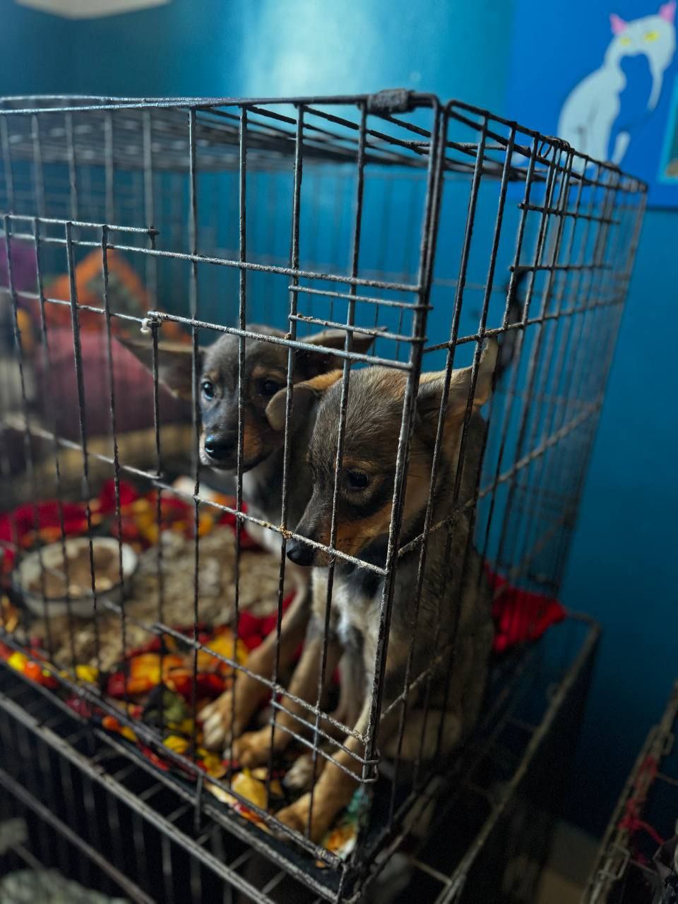 02
